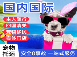 乌兰察布集宁机场托运国际宠物托运 【国